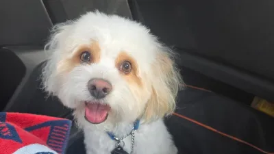 Hillsborough County Sheriffs Office