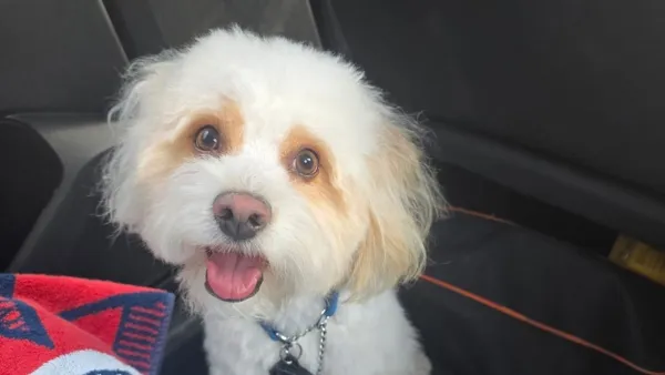 Hillsborough County Sheriffs Office