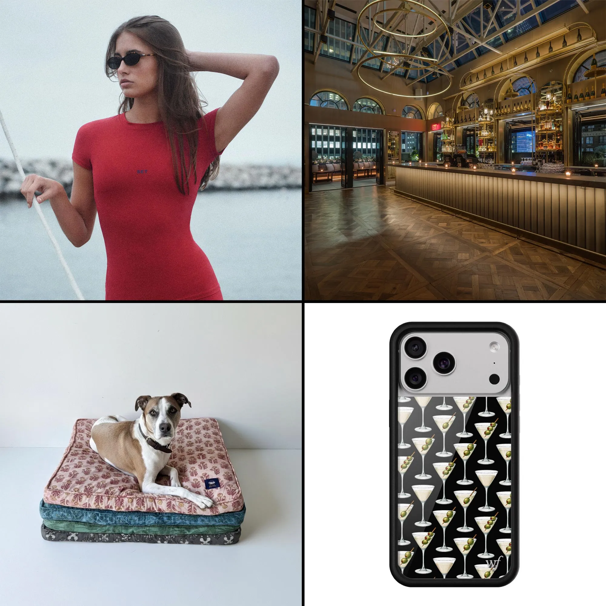 Hot Stuff Digital Featured Image Set Active Elise Rooftop Raja Doggo Wildflower Cases