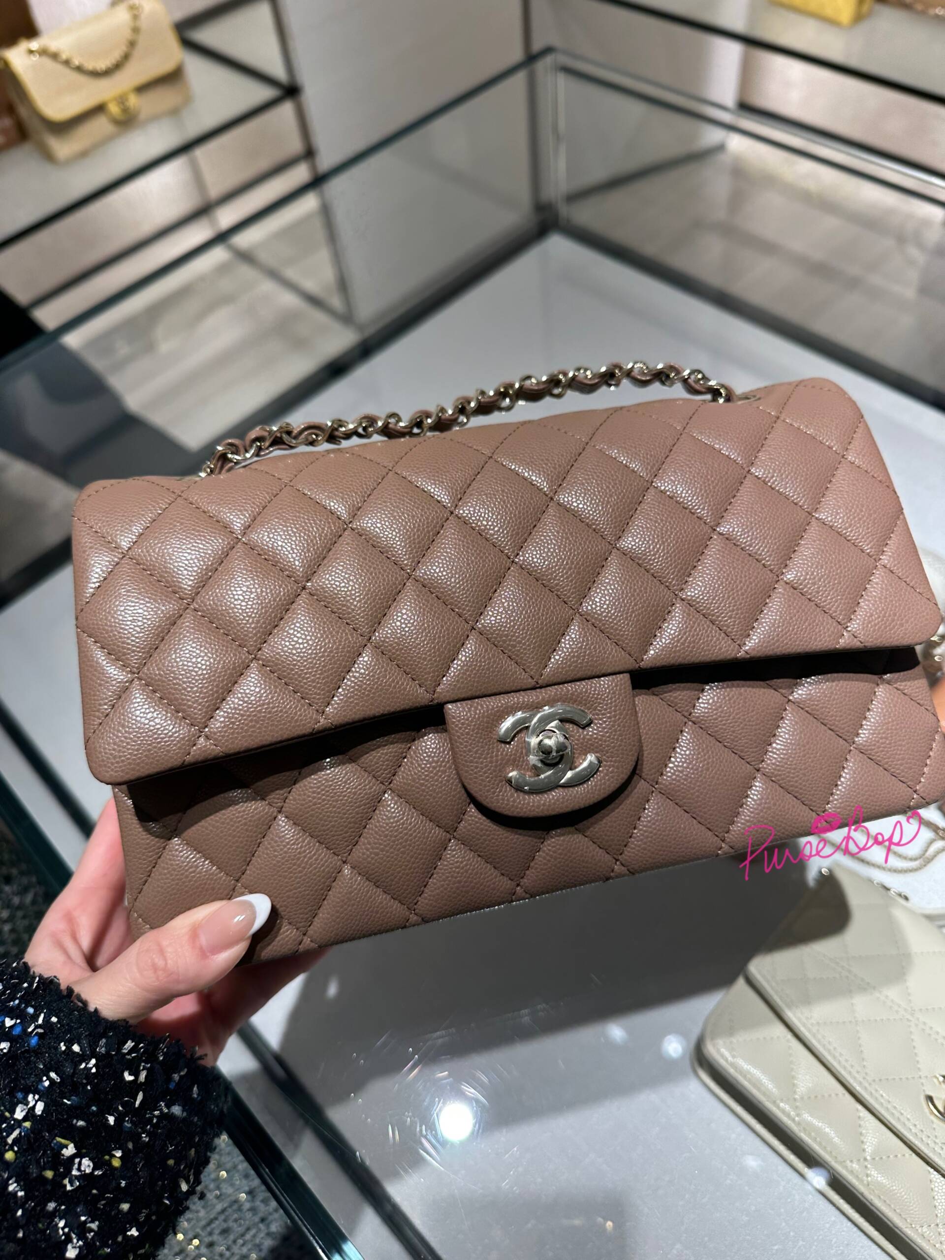 Chanel Spring-Summer 2026 Pre-Collection Bags (26P)