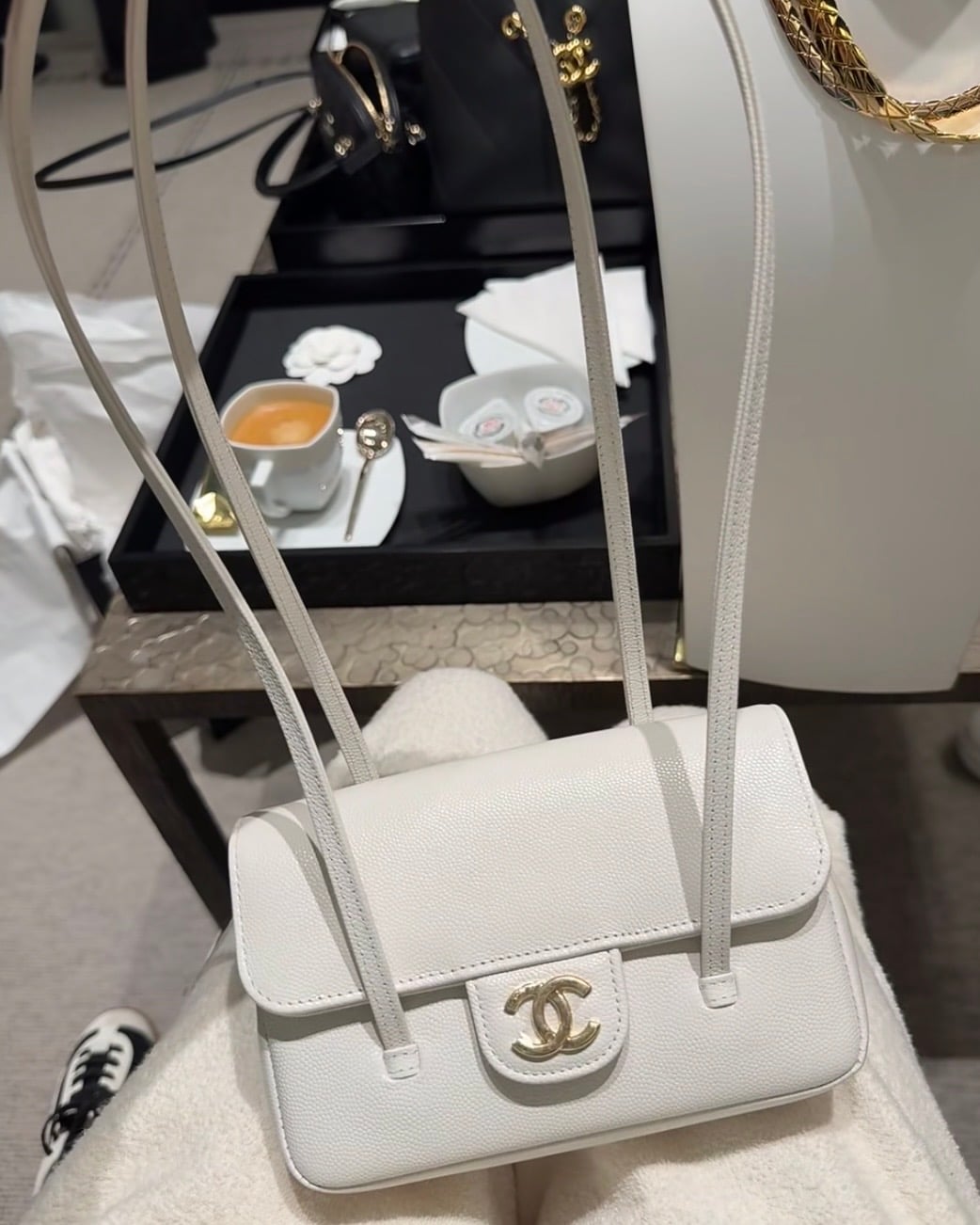 Chanel Spring-Summer 2026 Pre-Collection Bags (26P)