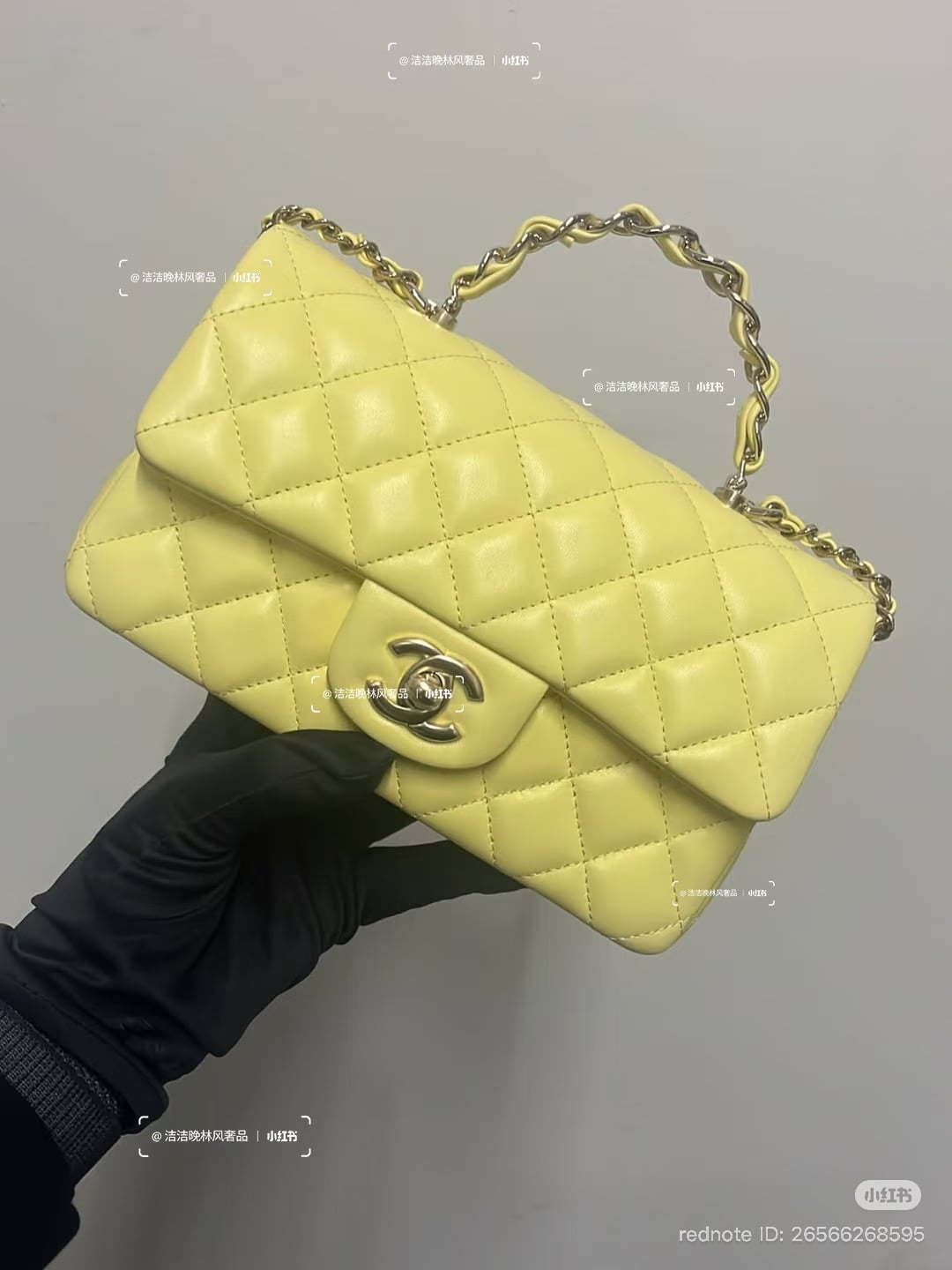 Chanel Spring-Summer 2026 Pre-Collection Bags (26P)