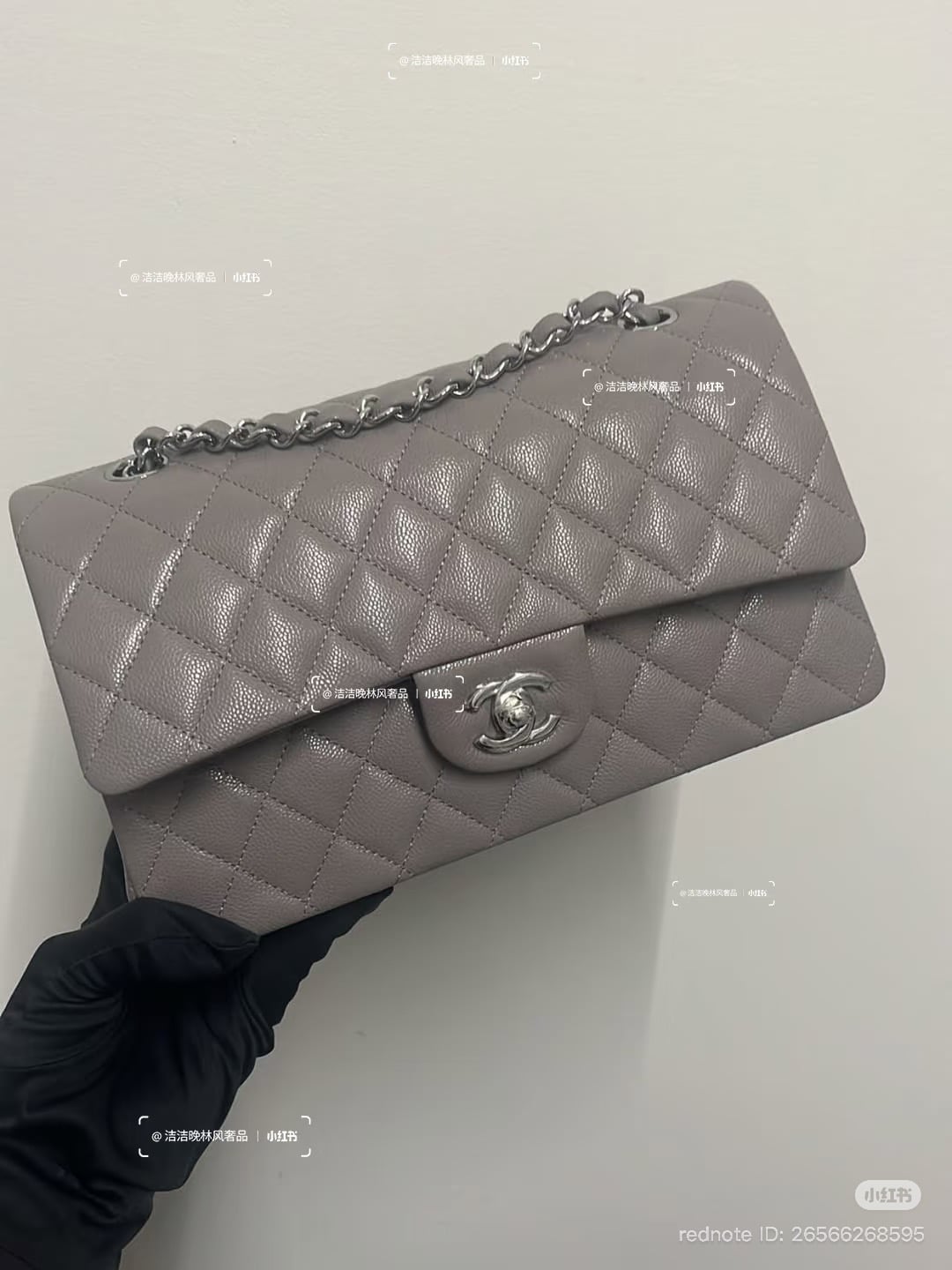 Chanel Spring-Summer 2026 Pre-Collection Bags (26P)