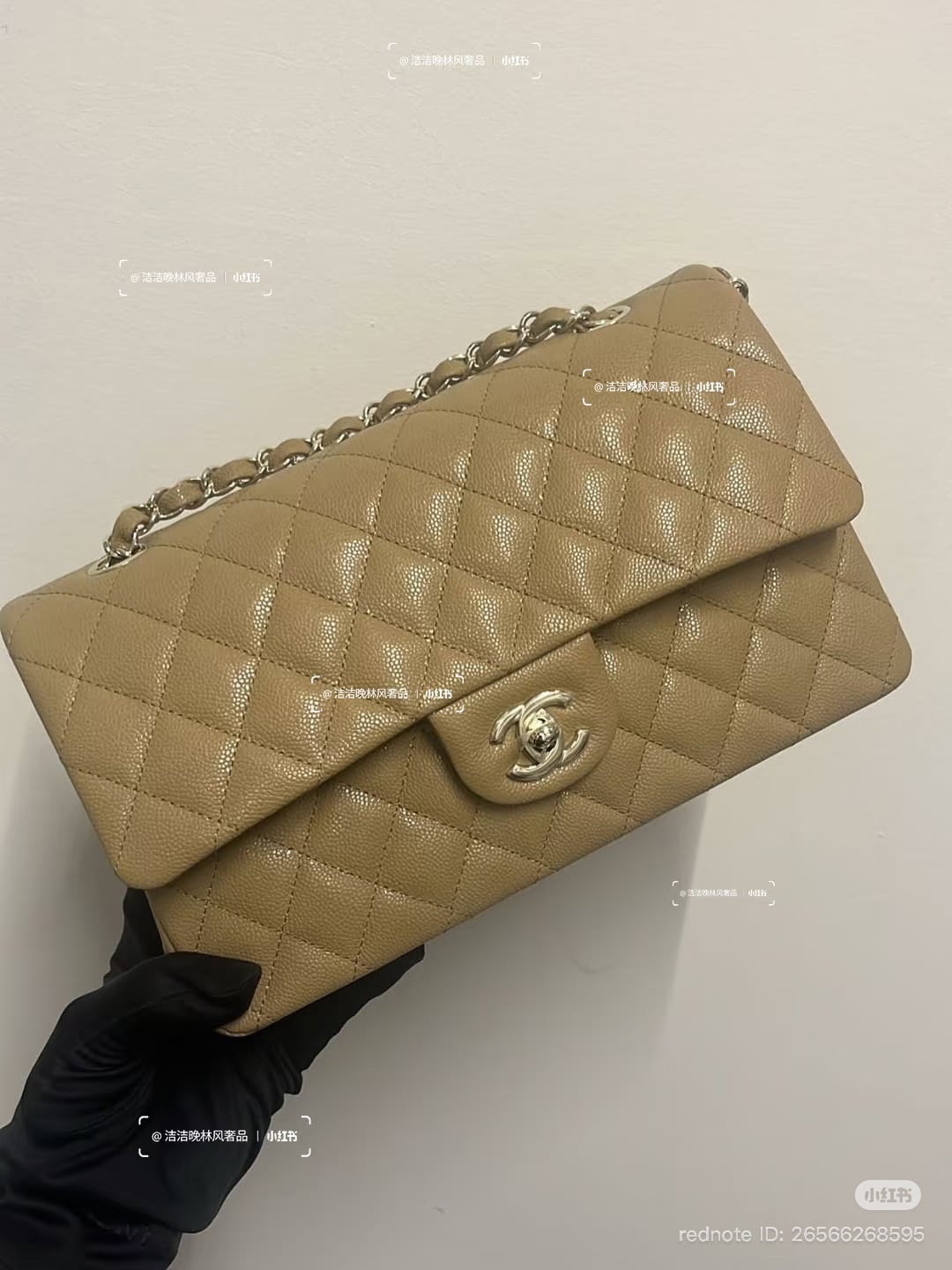 Chanel Spring-Summer 2026 Pre-Collection Bags (26P)