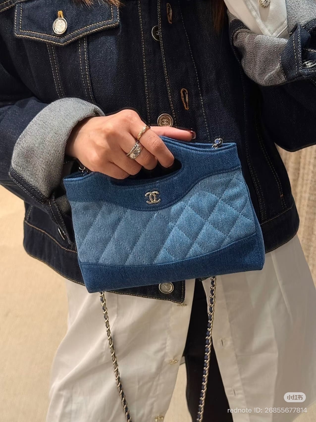 Chanel Spring-Summer 2026 Pre-Collection Bags (26P)