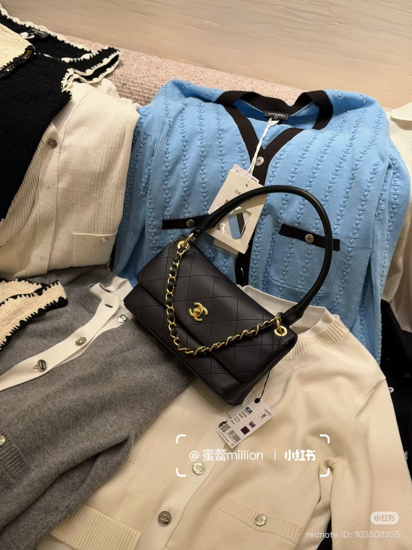 Chanel Spring-Summer 2026 Pre-Collection Bags (26P)