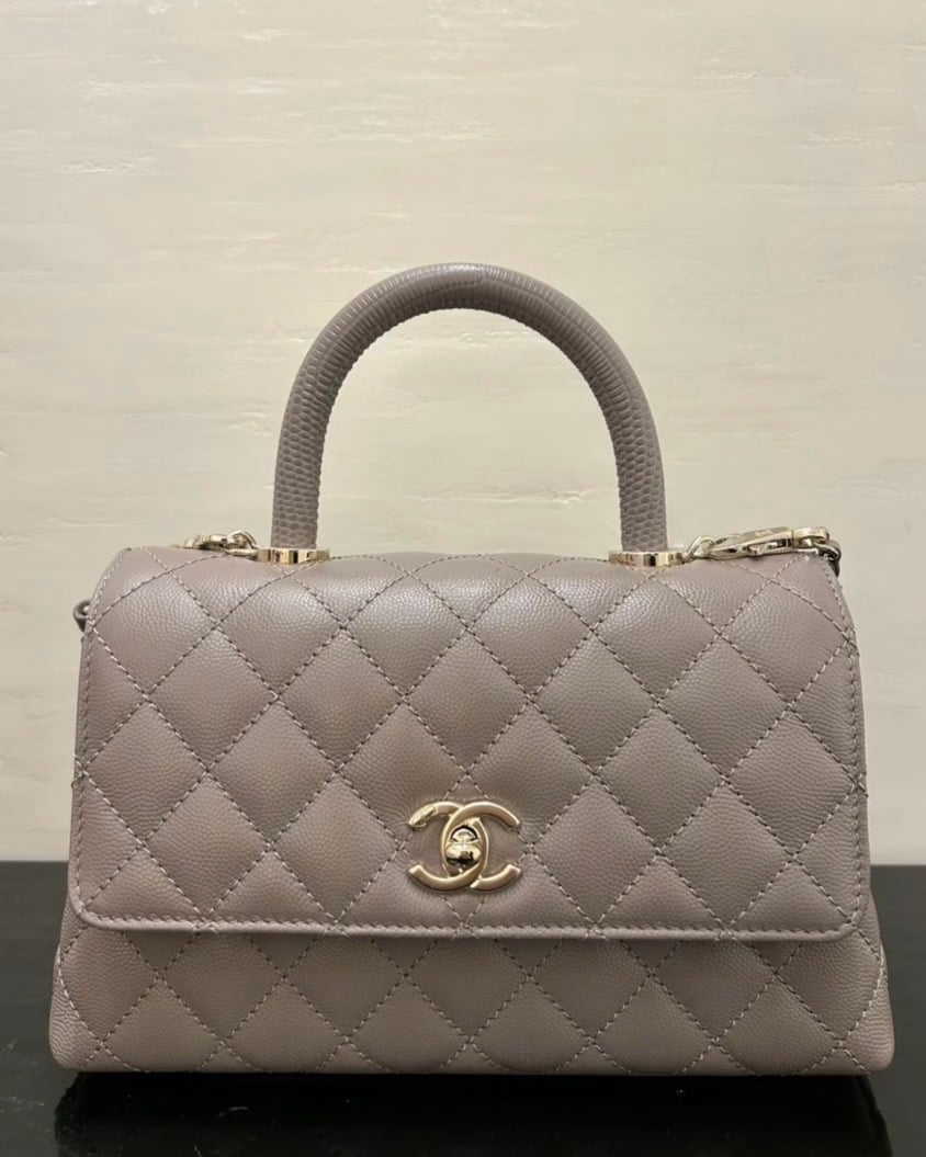 Chanel Spring-Summer 2026 Pre-Collection Bags (26P)