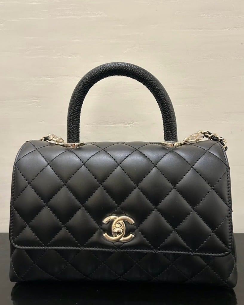 Chanel Spring-Summer 2026 Pre-Collection Bags (26P)