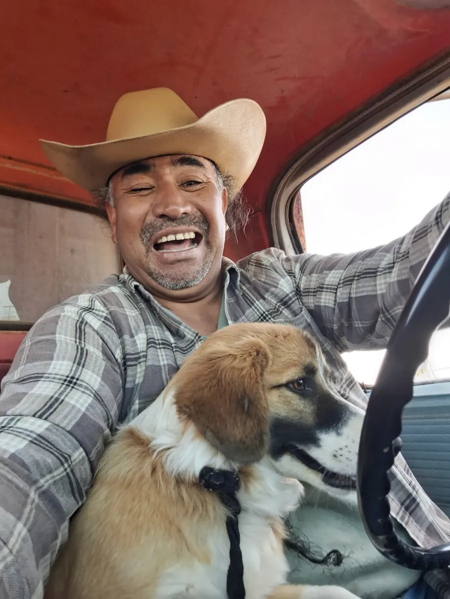 Influencer Deaths of 2026