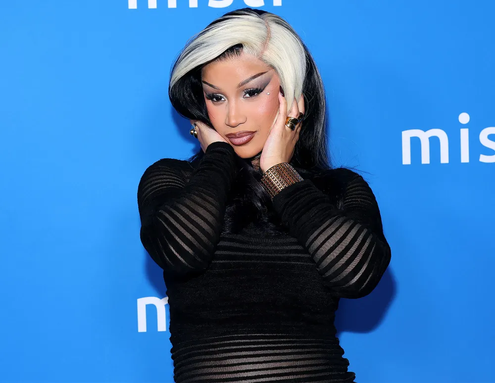 Patriots WAGs Sent Message to Cardi B on Raucous Party Bus Before Playoff Game