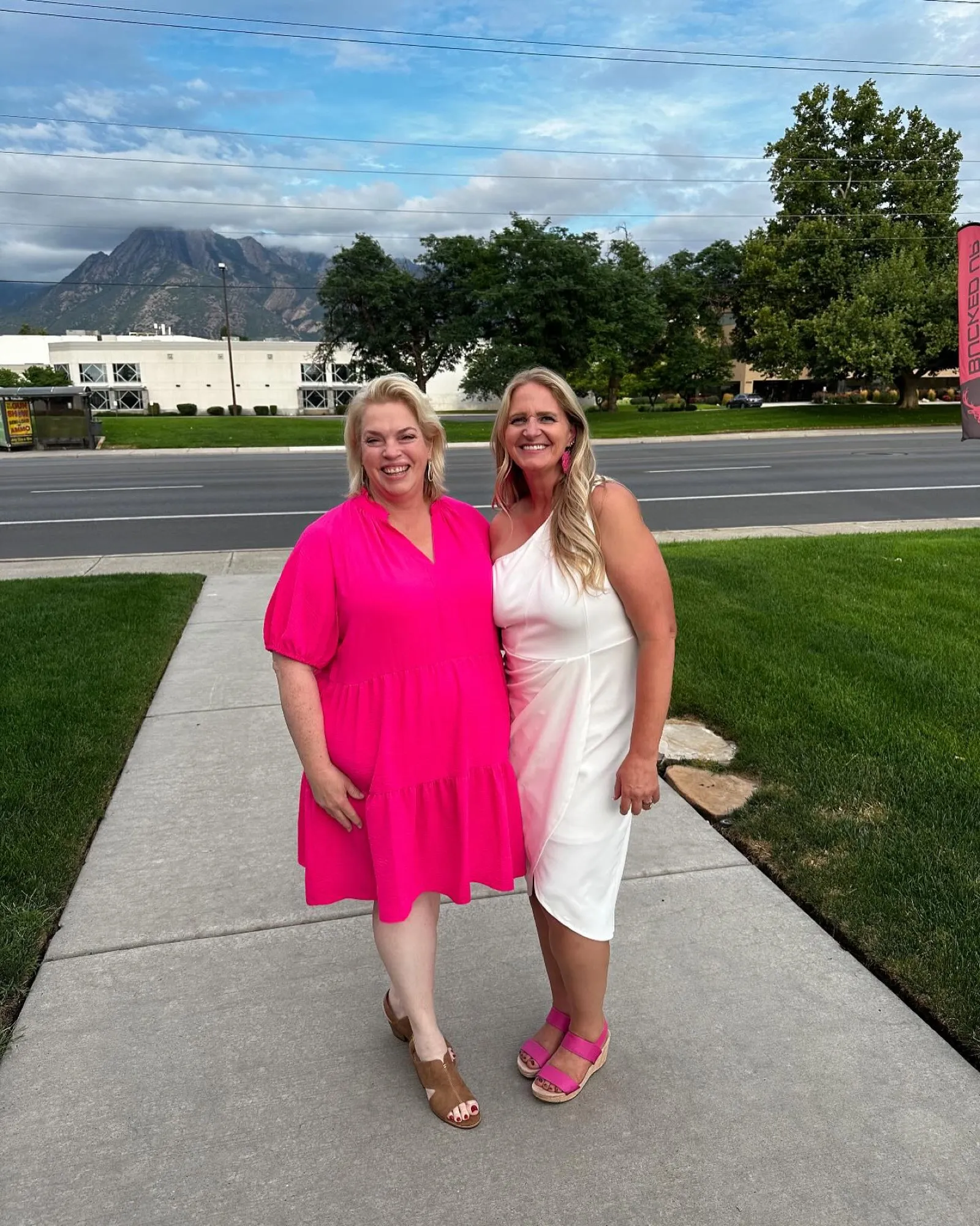 Sister Wives Janelle and Christine Argue Over Perception of Polygamy in Reunion Sneak Peek