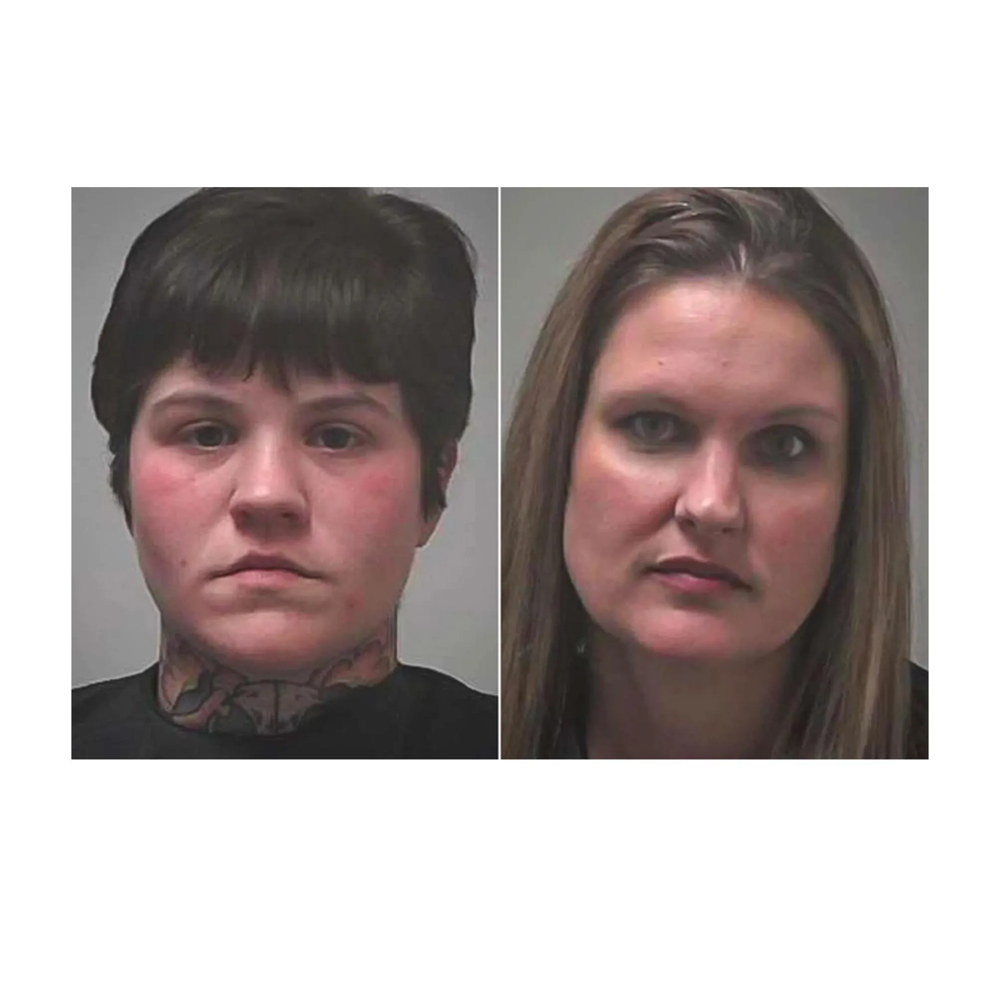 Two Women Arrested in Georgia for Illegally Operating on Cats