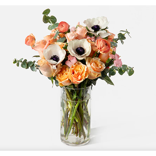 Urban Stems The Margot