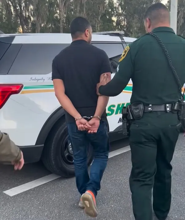 Video-Shows-Horse-Trainer-Punching-Kicking-Horse