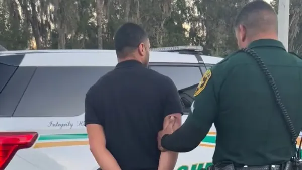 Video-Shows-Horse-Trainer-Punching-Kicking-Horse