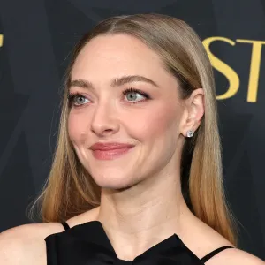 LOS ANGELES, CALIFORNIA - JANUARY 09: Amanda Seyfried attends the 2026 Astra Film Awards Presented by The Hollywood Creative Alliance at Sofitel Los Angeles at Beverly Hills on January 09, 2026 in Los Angeles, California. (Photo by Brianna Bryson/WireImage)