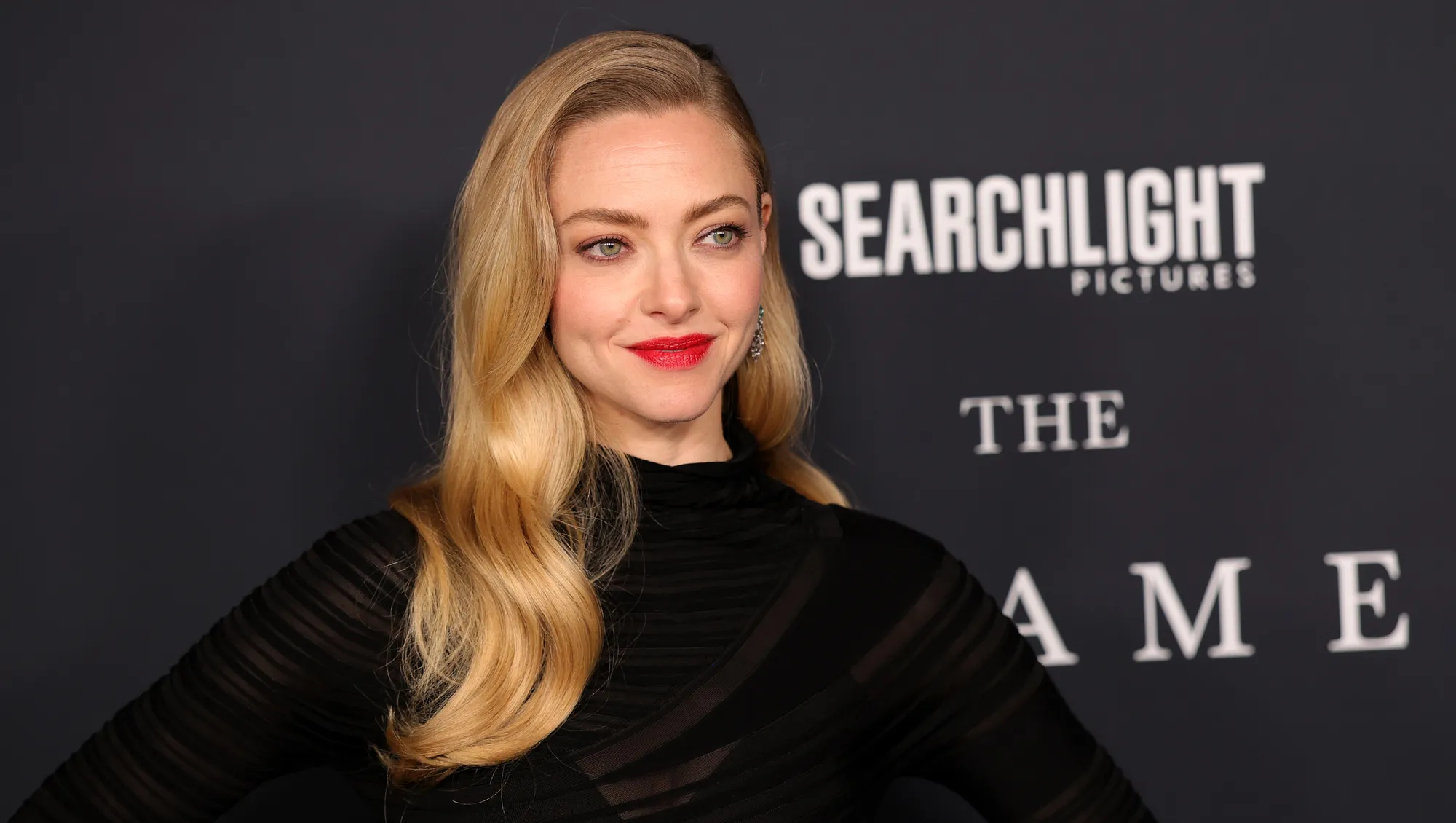 Amanda Seyfried V-Neck Sweater