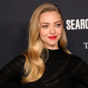 Amanda Seyfried V-Neck Sweater