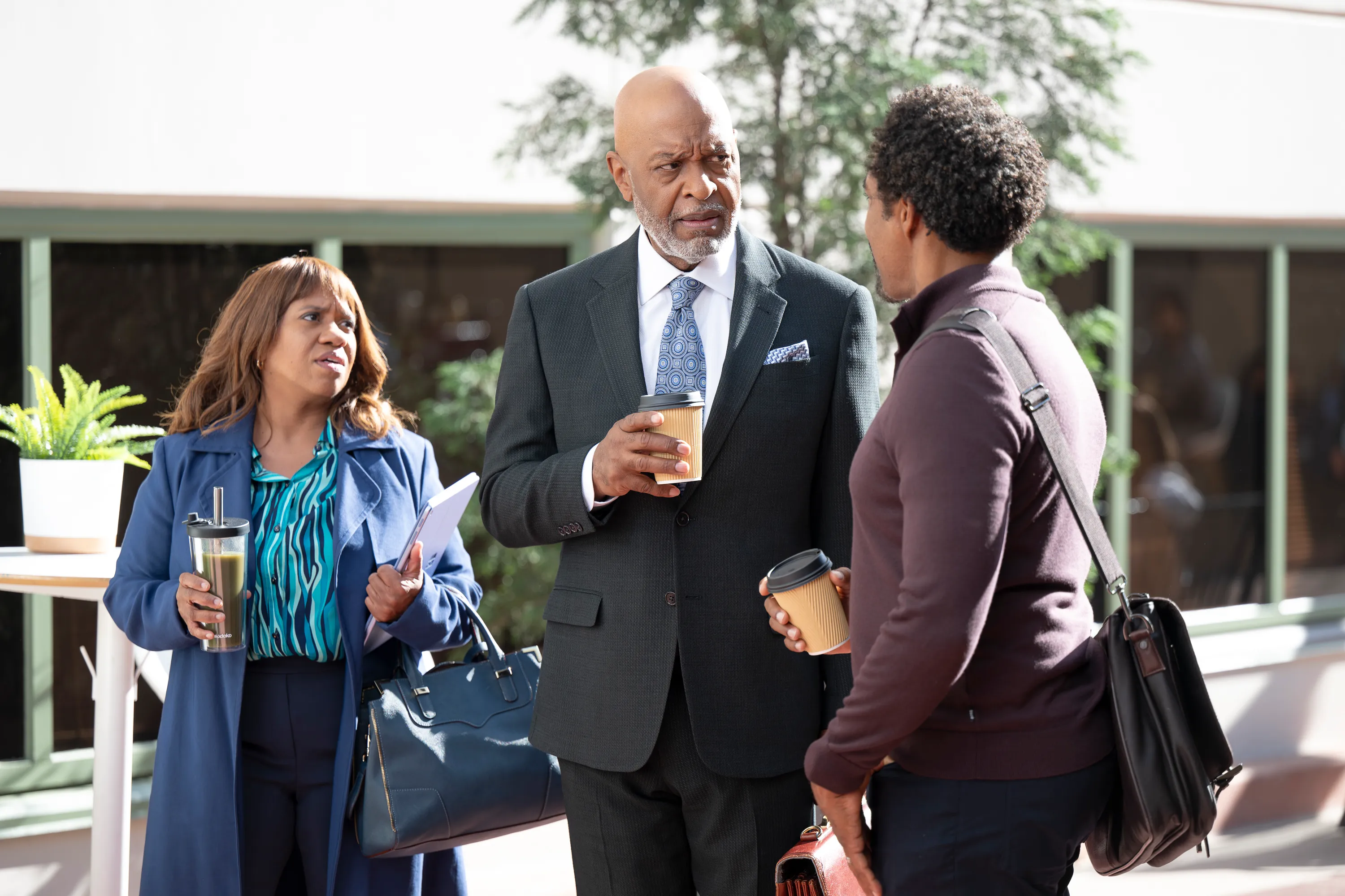 Chandra Wilson, James Pickens Jr.