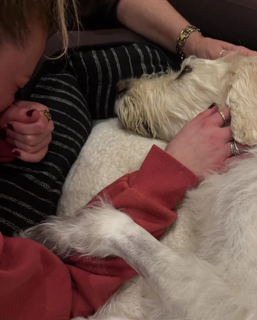 kelsea-ballerini-and-dog-dibs