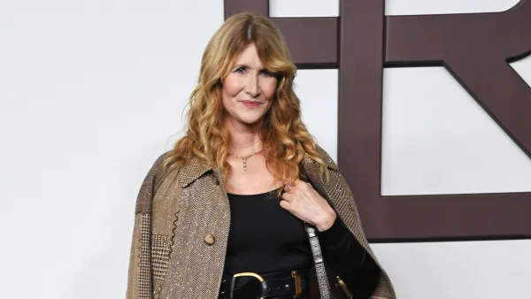 Laura Dern Handbag