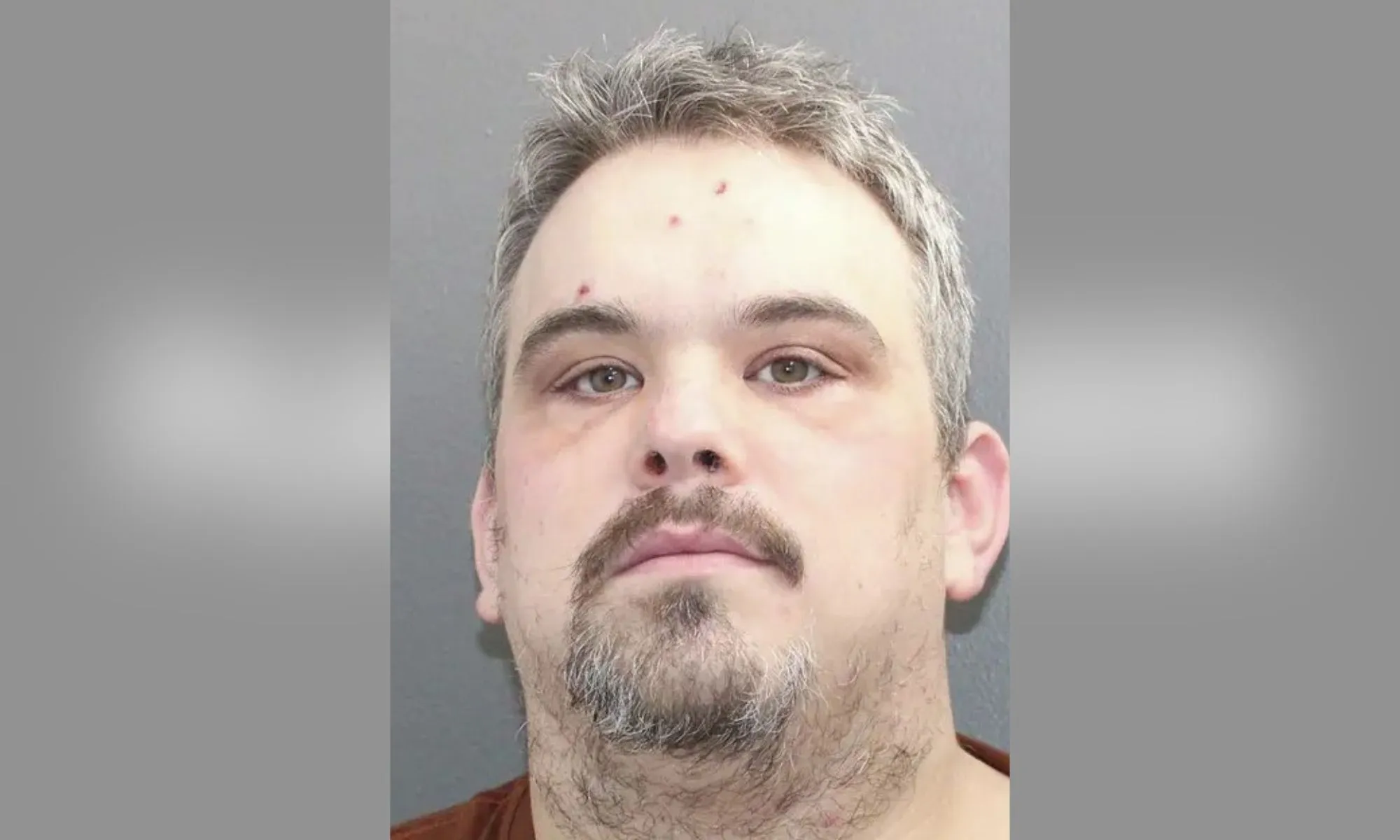 mma fighter pleads guilty murder daughter schenedtady