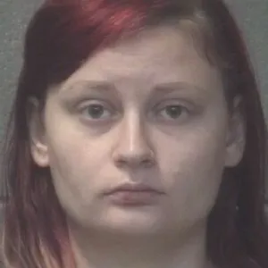 North Carolina Mom Charged After Missing Toddler Drowns on Front Porch of Replica Luxury Handbag