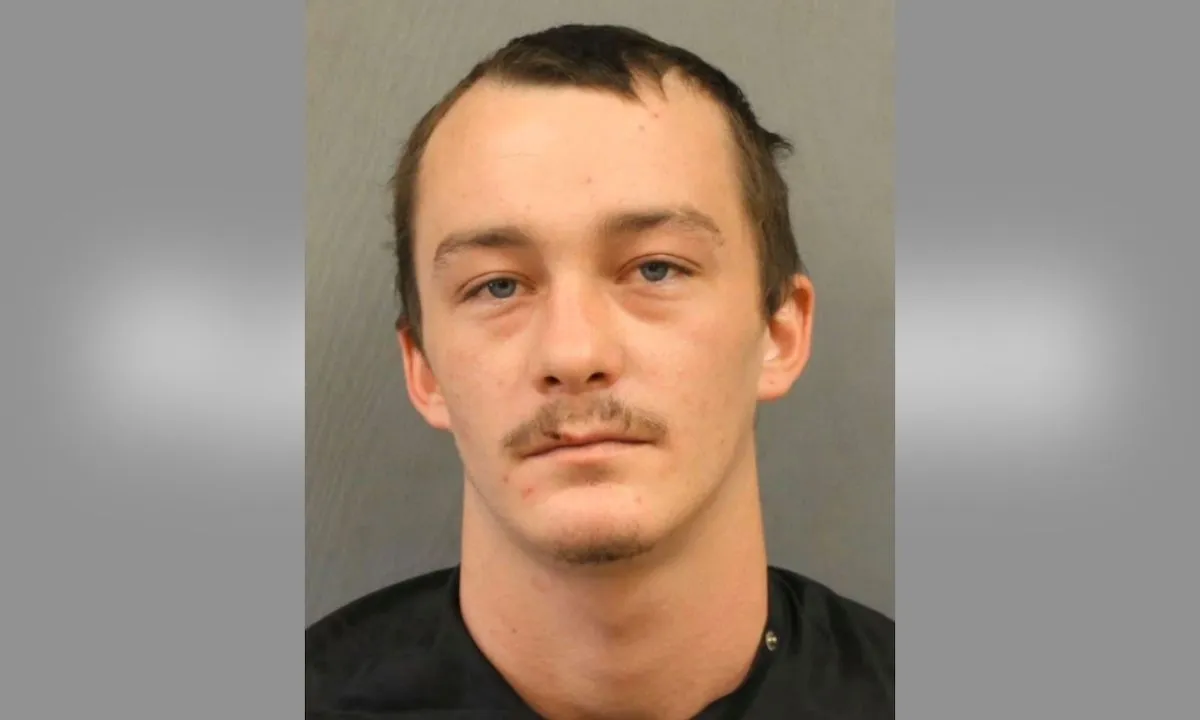 10-Month-Old Infant Dies After Babysitter Inflicts 'Extensive Head and Body Injuries'