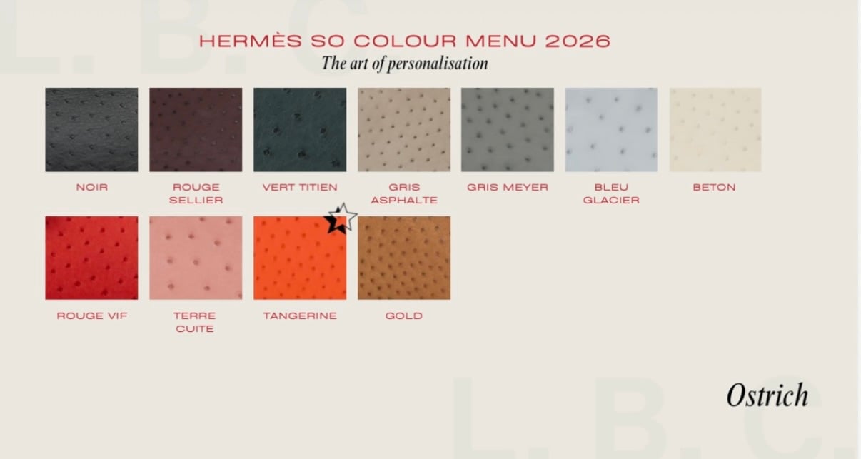 Hermès 2026 Special Order Guide