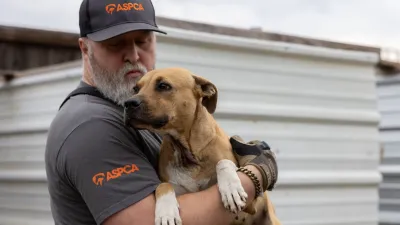 An ASPCA worker holds a rescued dog