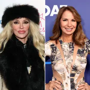 Brandi Glanville Defends Jill Zarin After Firing Over Bad Bunny Comments