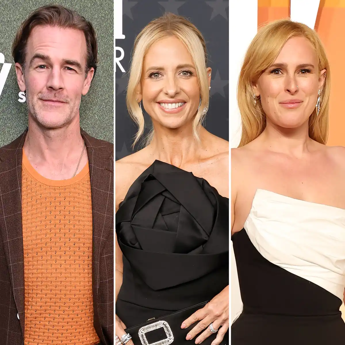 Celebs React to James Van Der Beek Dead Sarah Michelle Gellar Rumer Willis