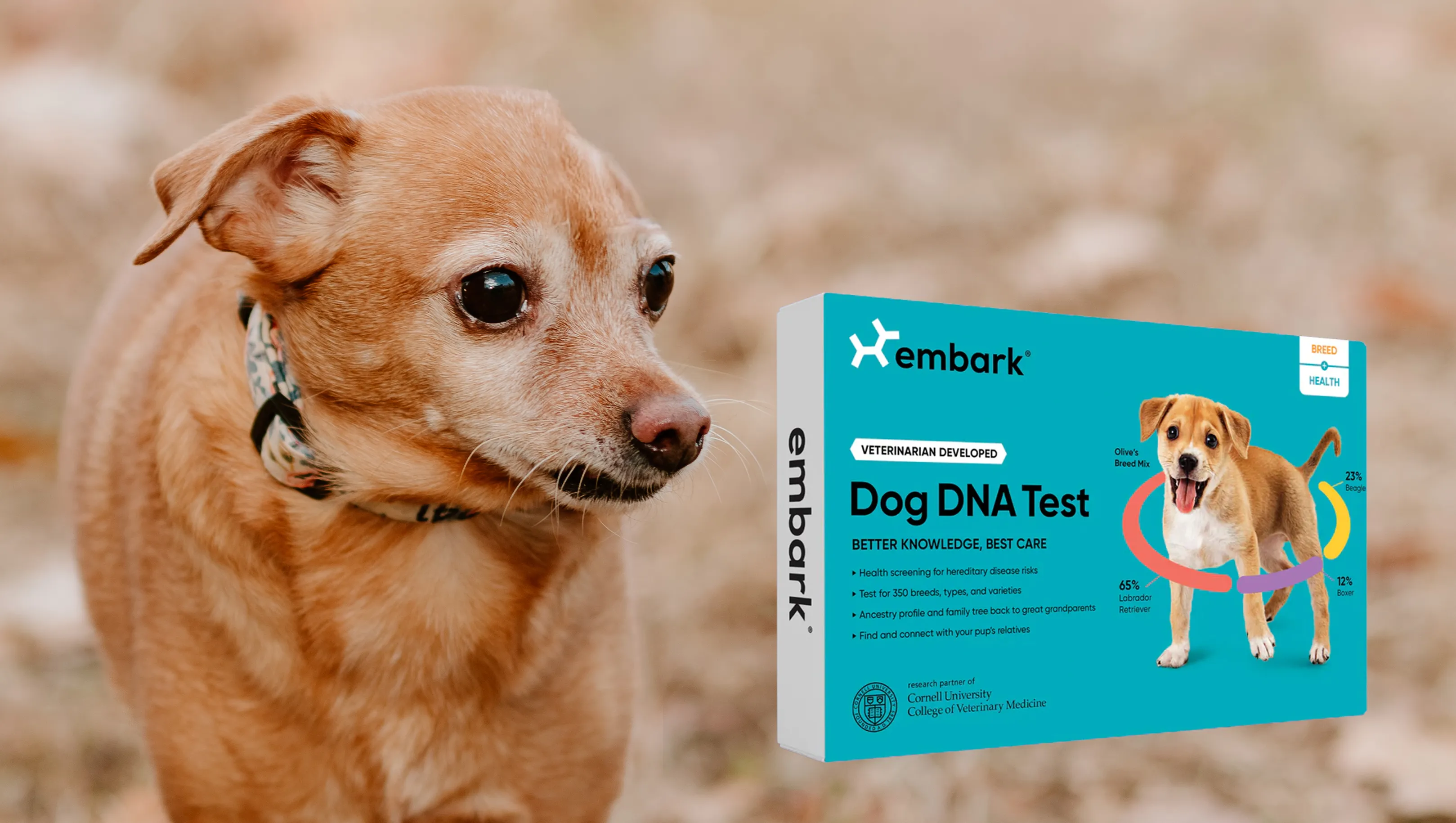 Embark Dog DNA Test