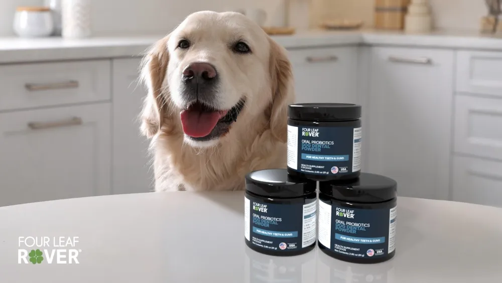 FLR Logo Oral Probiotic 1