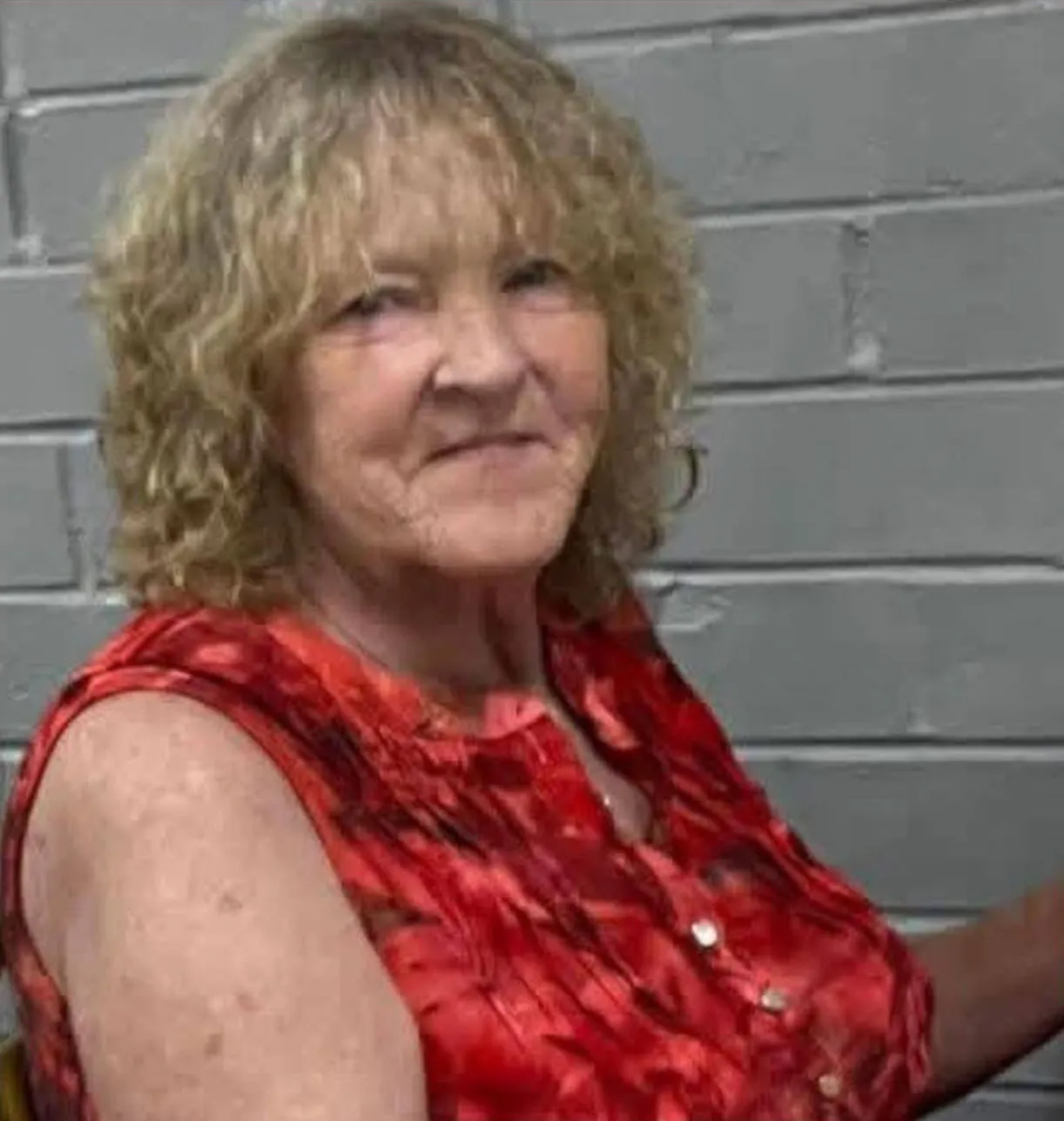 Feature Long Island Police Searching for Missing Grandmother Find Body of Other Unidentified Woman