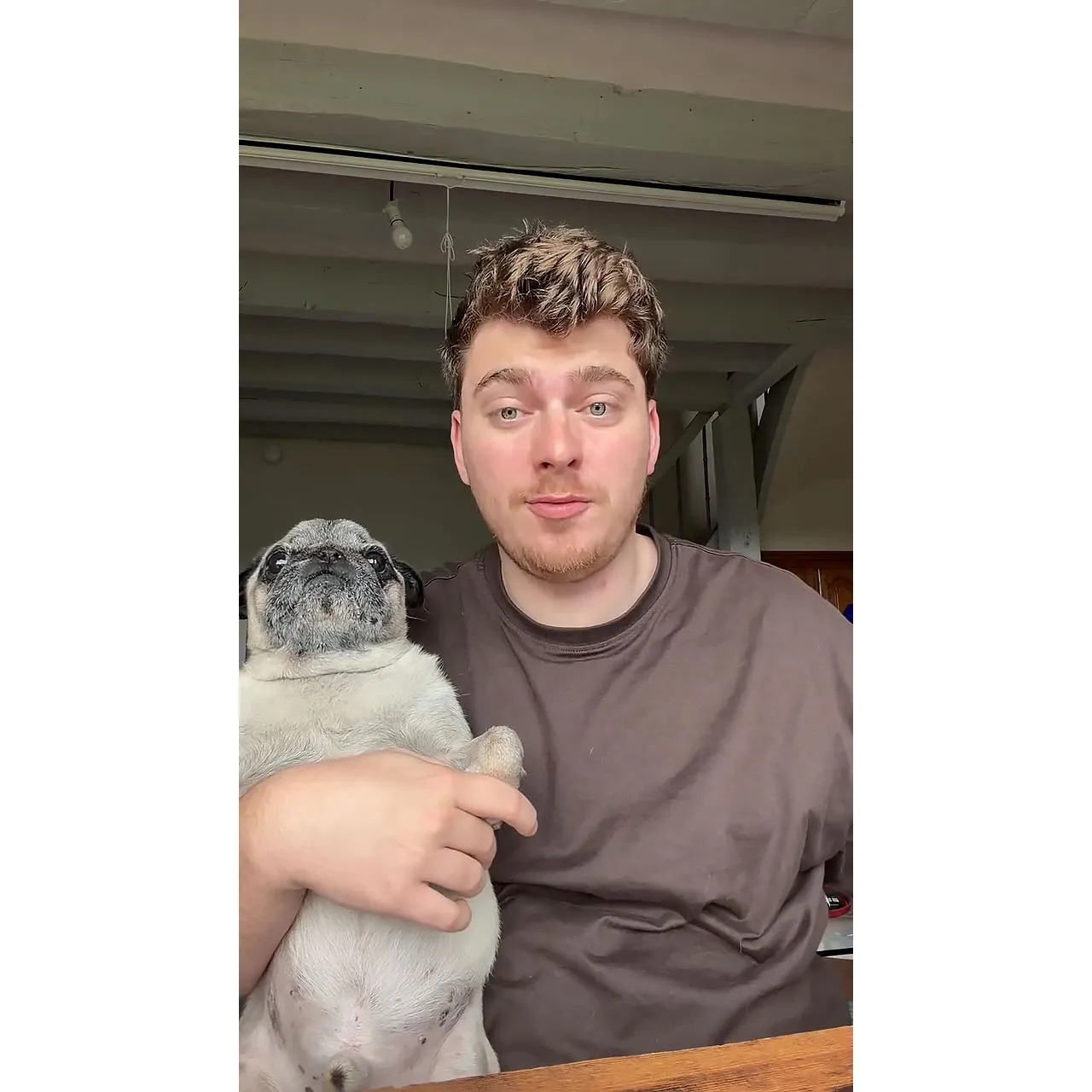 French Influencer Cyril Schreiner Admits He Faked Albert the Pug Kidnapping