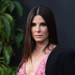 sandra bullock tote