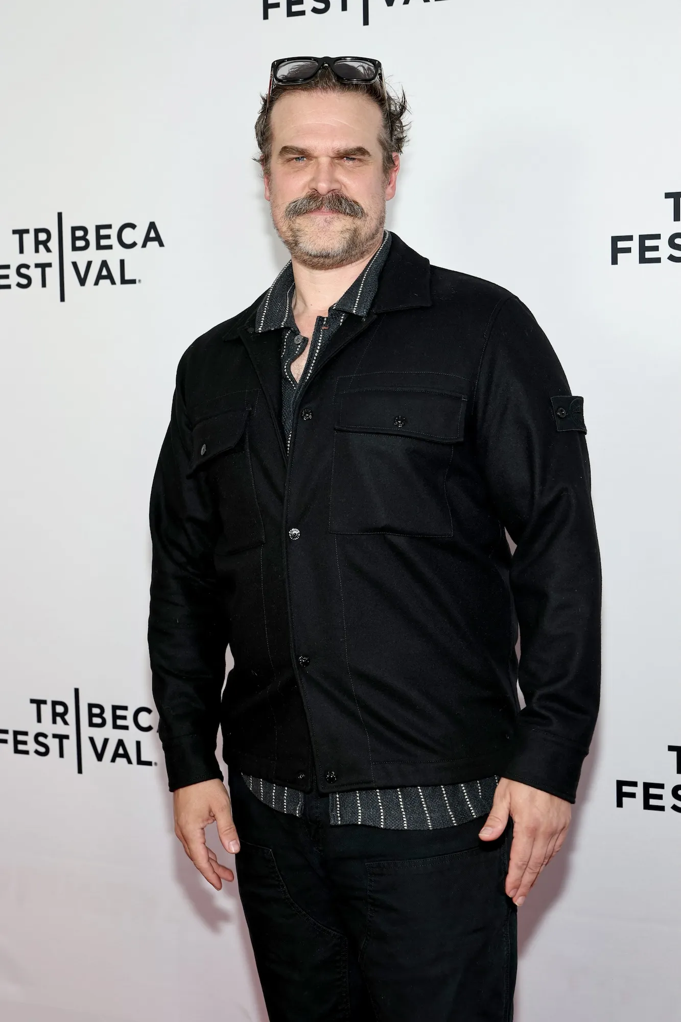 David Harbour Seen With Mystery Woman Amid Maya Hawke Wedding