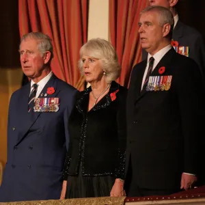 GettyImages-458639756 How King Charles III and Royals Reacted to Prince Andrews Ties to Epstein