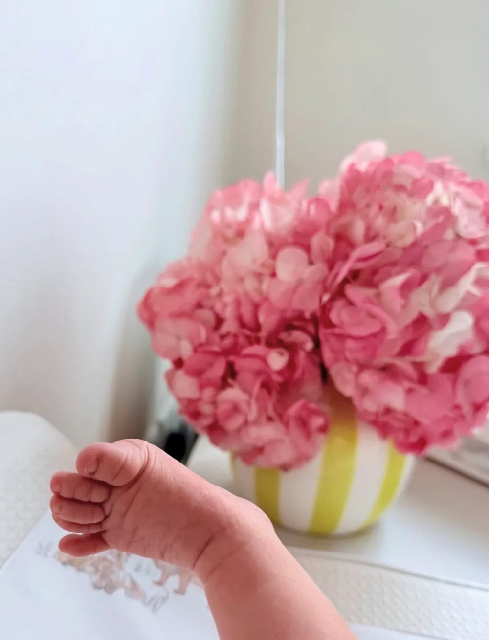 Below Deck Med's Malia White Secretly Welcomed Baby No. 1 With Partner Robert