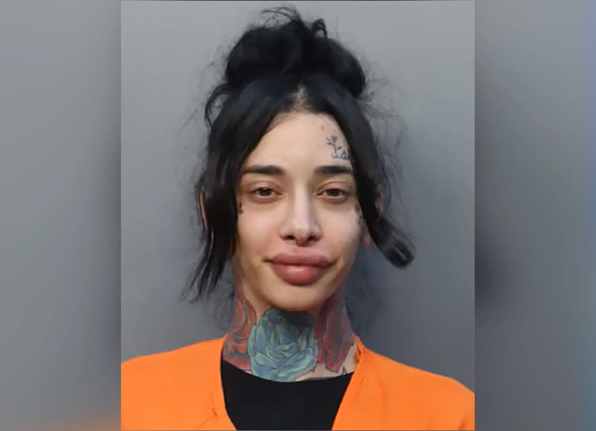 LaRose Sainte Miami Dade Corrections and Rehabilitation