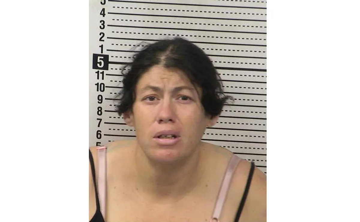 NM Infant Drowns After Mother Dropped Her Into Porta Potty and Left