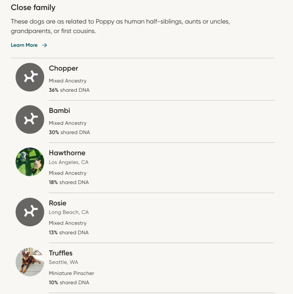 Poppy-Family-Embark-DNA-Test