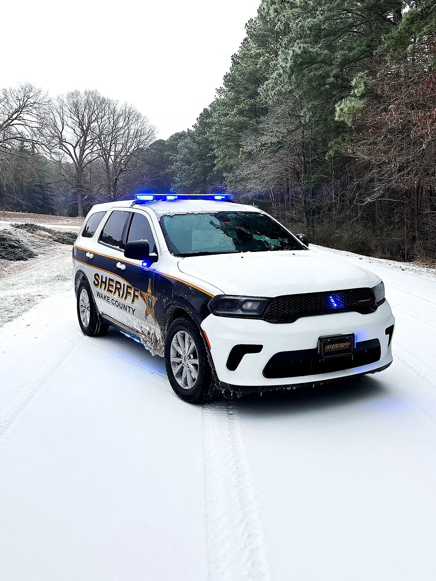 Teen arrested after child killed another injured with hammer and knife in Wake County