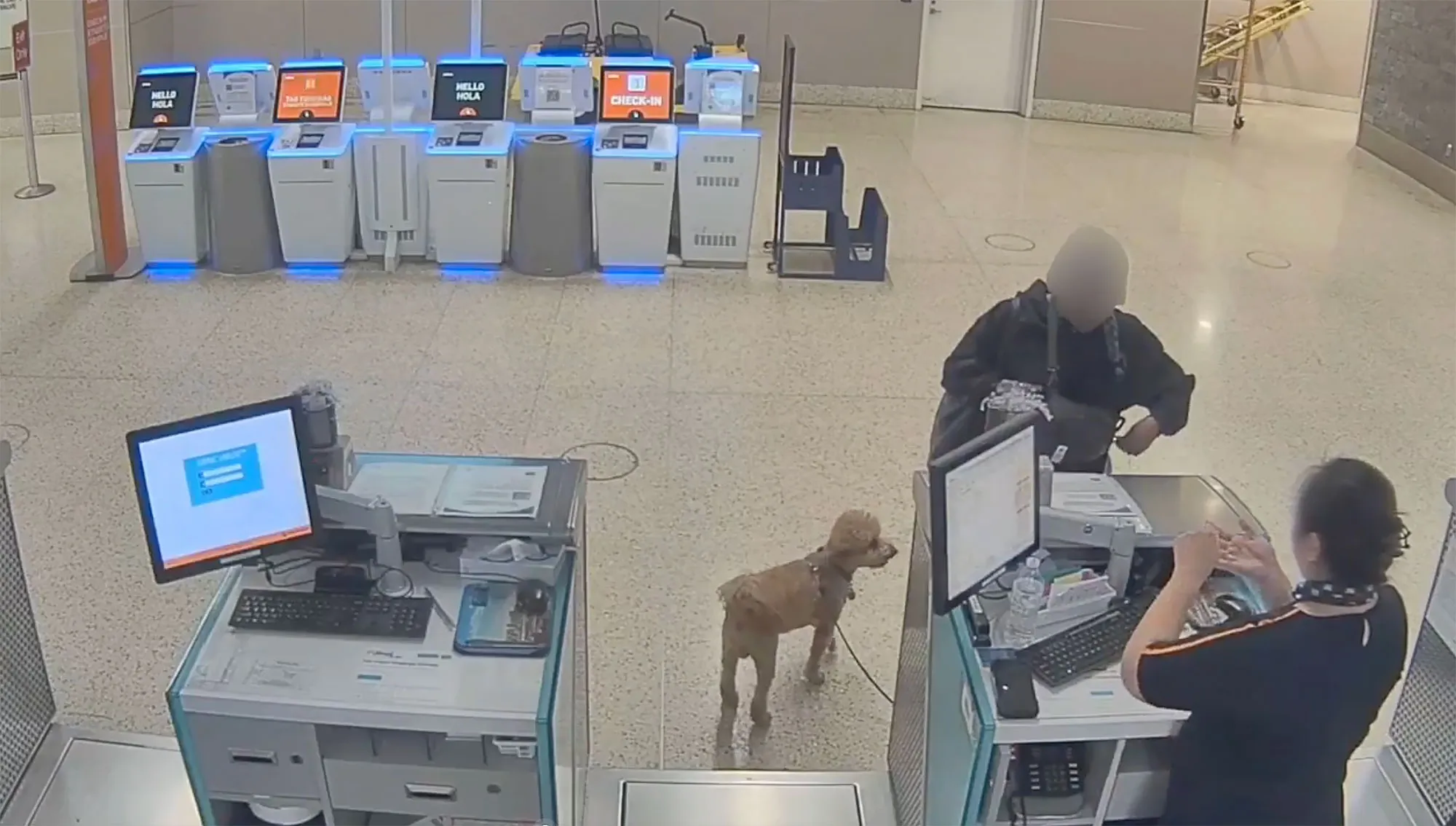 Woman Allegedly Abandoned Dog at JetBlue Ticket Counter at Las Vegas Airport