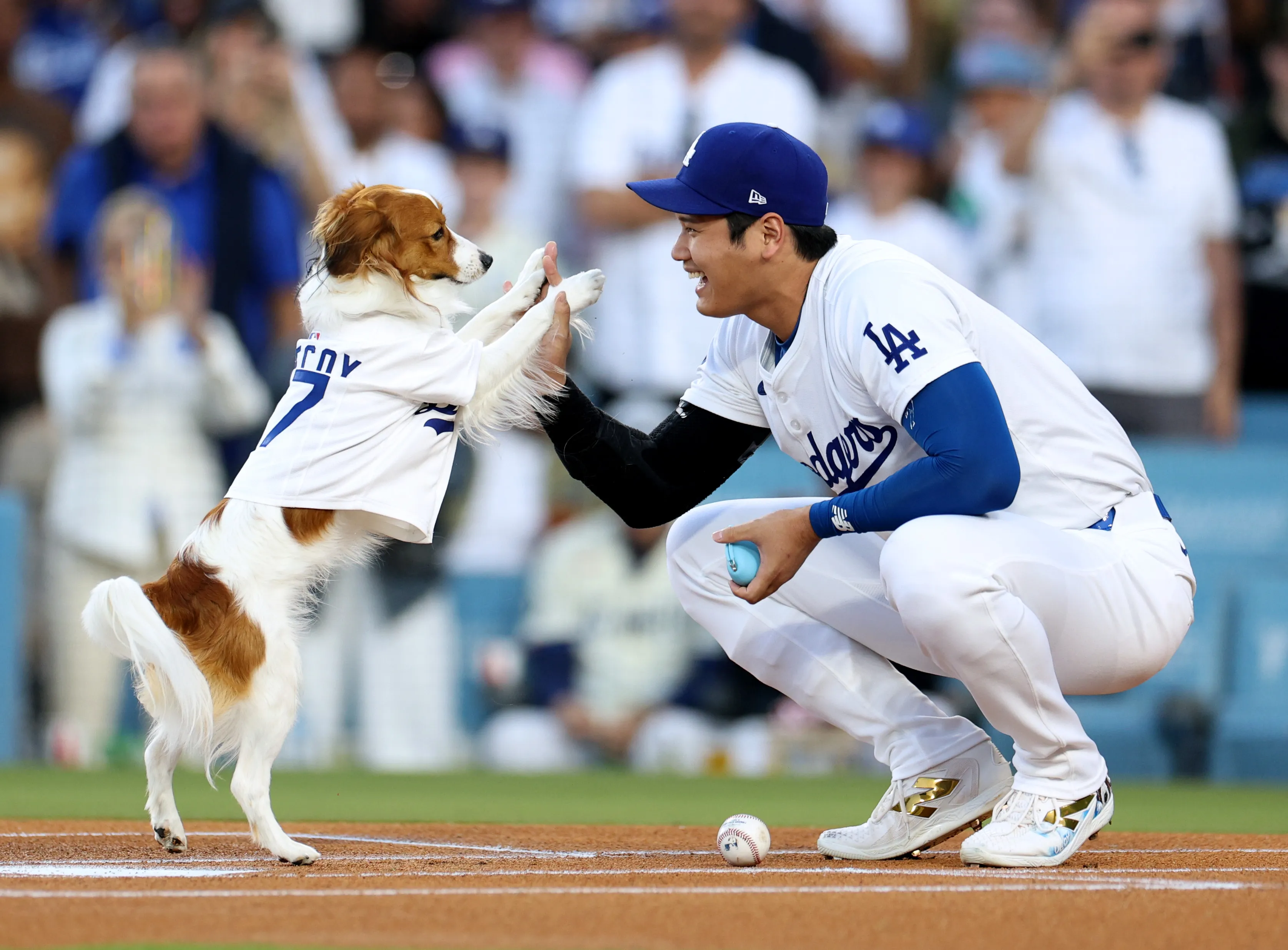 2169948140 A 28-Foot Mural of Shohei Ohtani and His Dog Decoy Just Went Up in Los Angeles