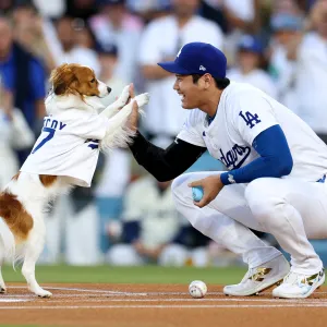 2169948140 A 28-Foot Mural of Shohei Ohtani and His Dog Decoy Just Went Up in Los Angeles