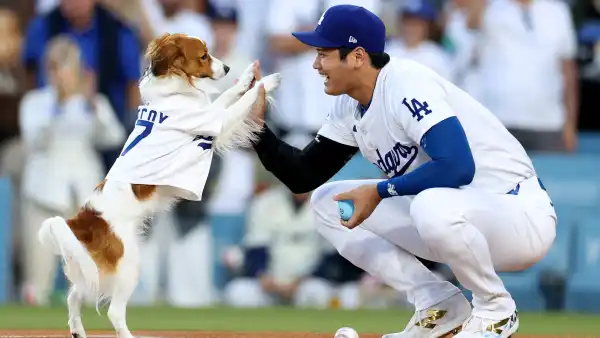 2169948140 A 28-Foot Mural of Shohei Ohtani and His Dog Decoy Just Went Up in Los Angeles