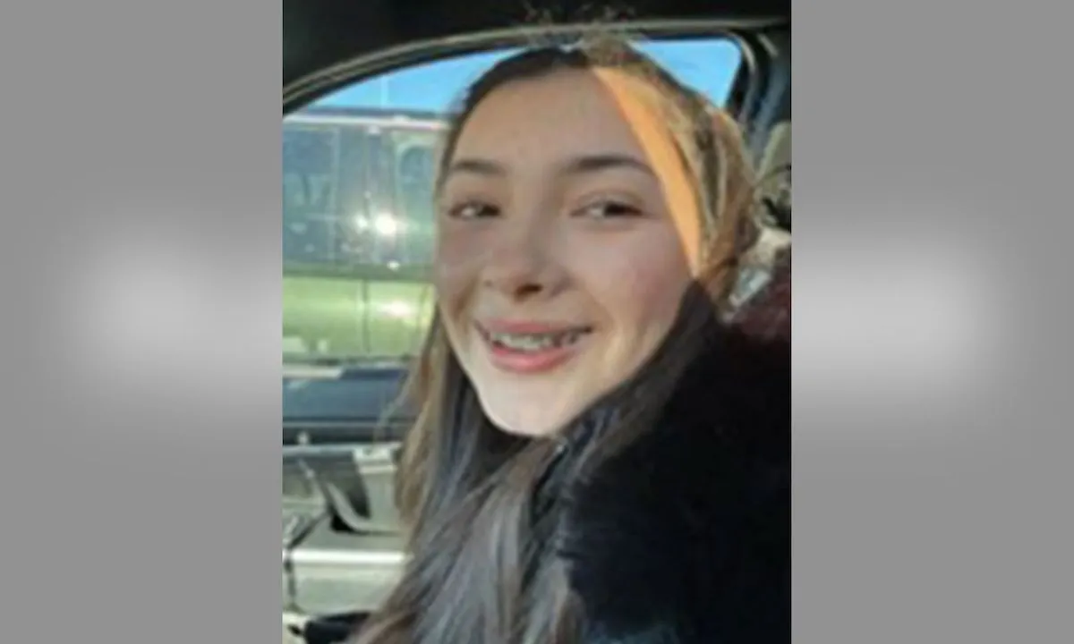 Missing Persons Investigation Launched After Arizona Girl, 16, Never Returned Replica Luxury Handbag From School