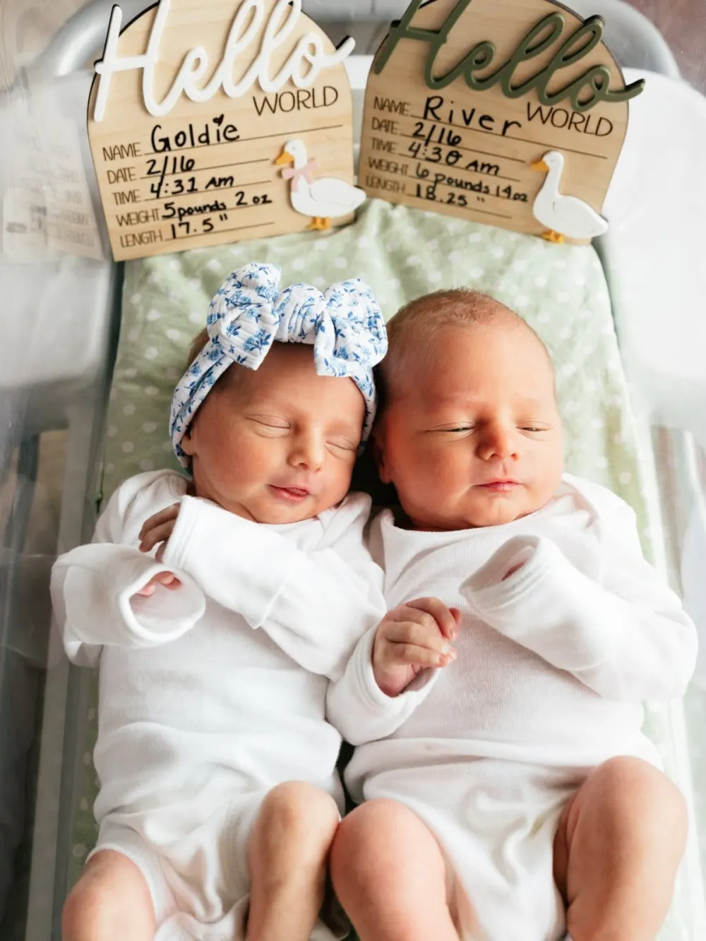 Big Brothers Nicole Franzel and Victor Arroyo Relationship Timeline